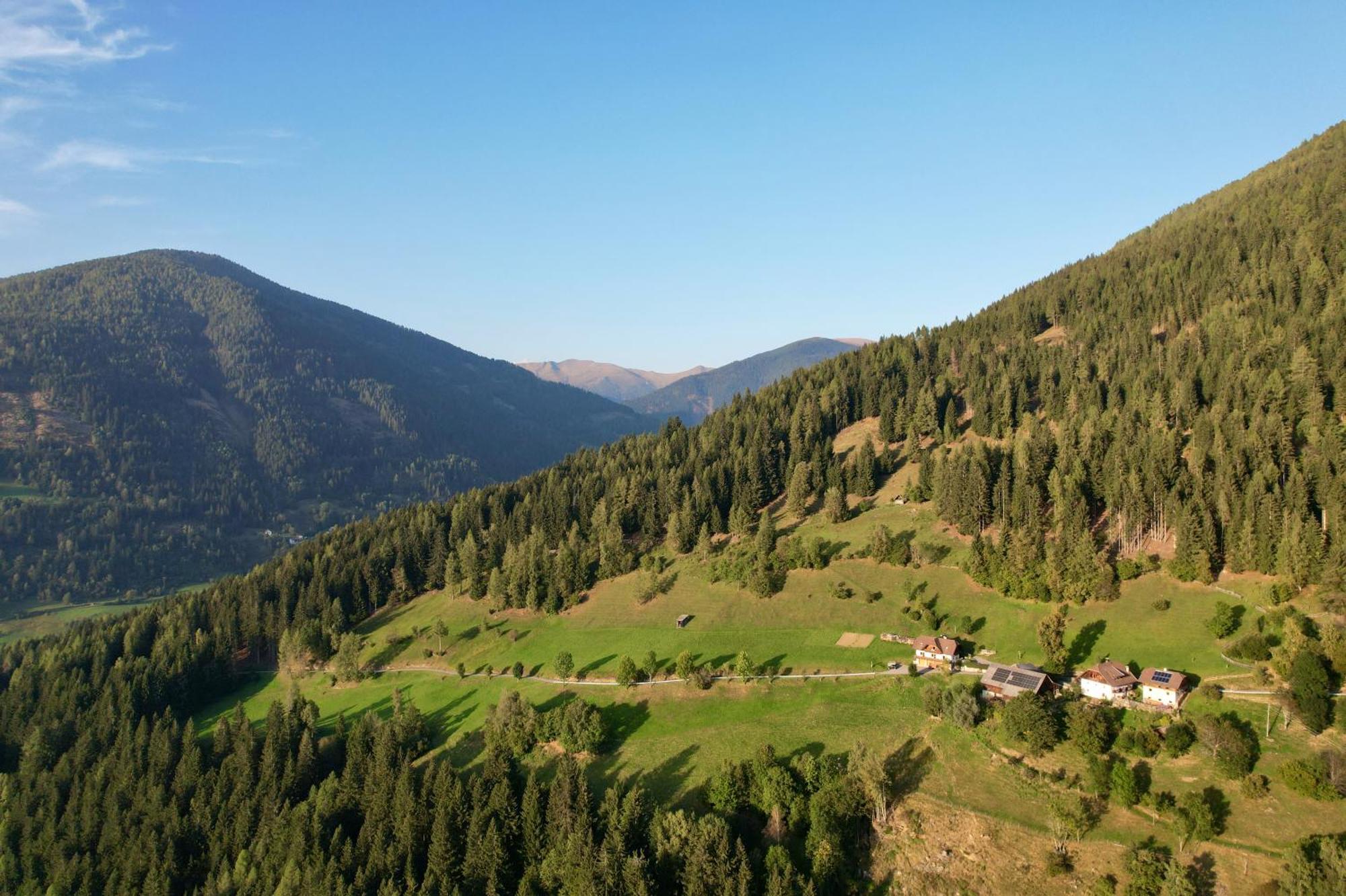 Lercherhof Feld am See Luaran gambar