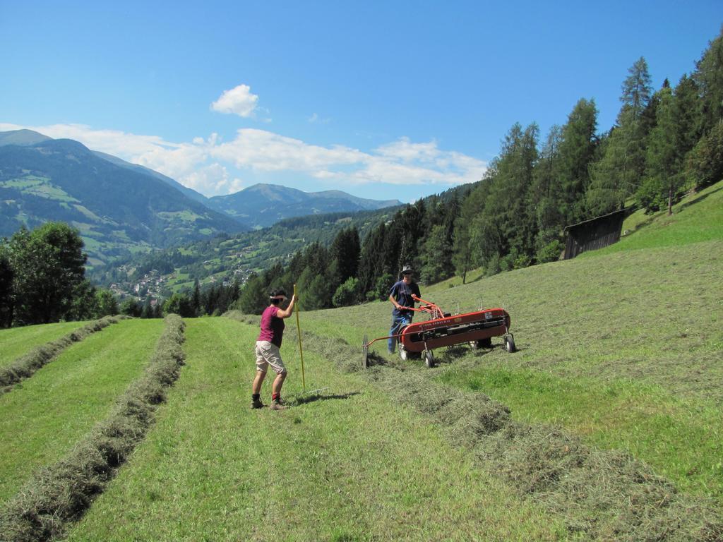Lercherhof Feld am See Luaran gambar